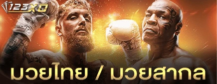 มวยไทย / มวยสากล