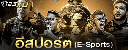 อีสปอร์ต (E-Sports)